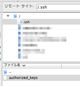 xserver-ssh-04